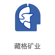 88858cc永利集团合作同伴：藏格矿业